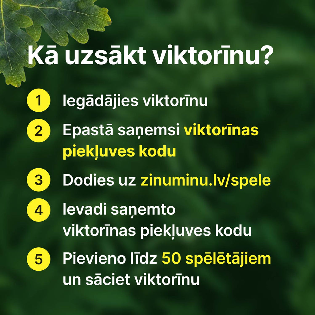 Aizraujoša Līgo viktorīna īstiem līgotājiem